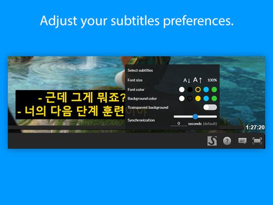 Adjust the style of the subtitles and their synchronization.