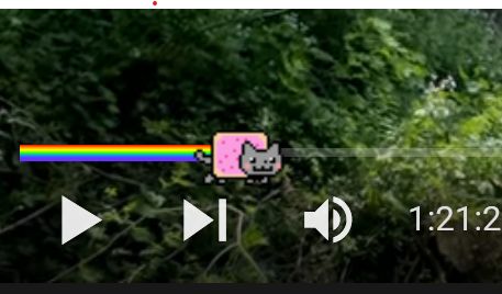 New, animated theme for the progress bar for all YouTube videos.