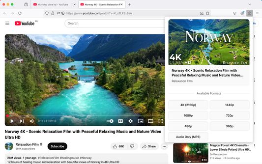 Download YouTube Videos in Stunning 4K Resolution – Fast and Easy!
Capture crystal-clear 4K videos from YouTube directly to your device. Enjoy seamless downloads with just one click using this powerful and free YouTube video downloader extension.